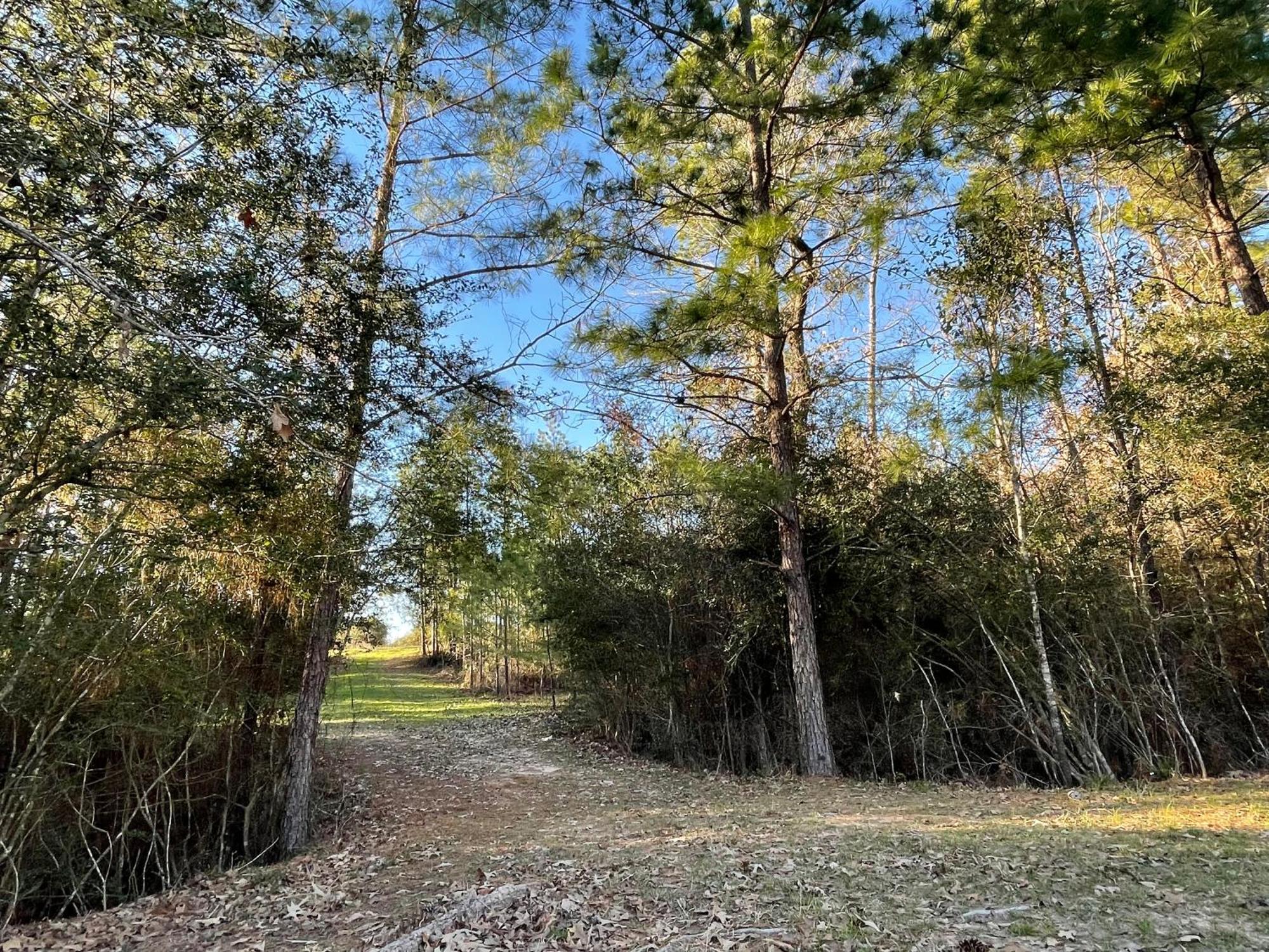 Country Getaway 4 Bedroom Resort In 10 Acre Lot Magnolia Exterior photo