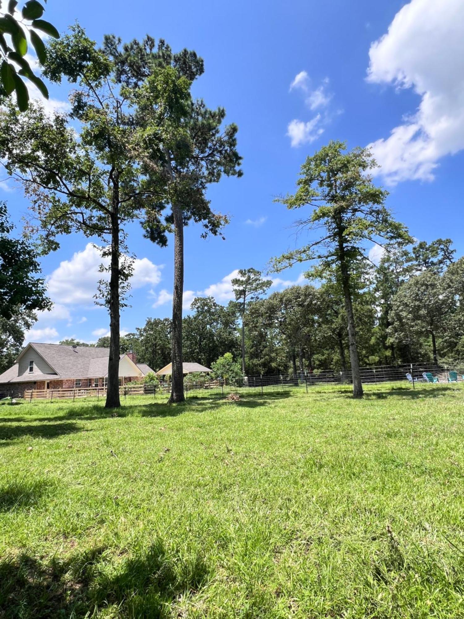 Country Getaway 4 Bedroom Resort In 10 Acre Lot Magnolia Exterior photo